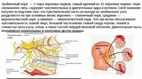 Дисфункция черепных