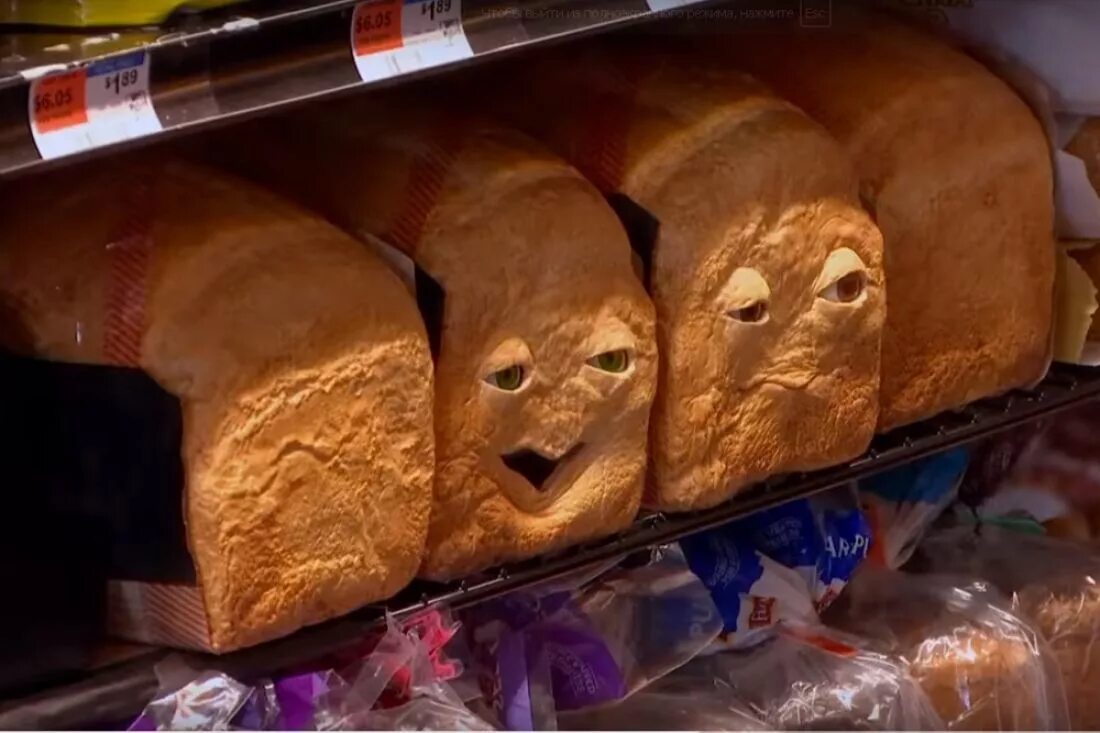 Сходи за хлебом магазин. Необычный хлеб. Смешные хлебобулочные изделия. Прикольный Хлебушек. Смешная булка хлеба.