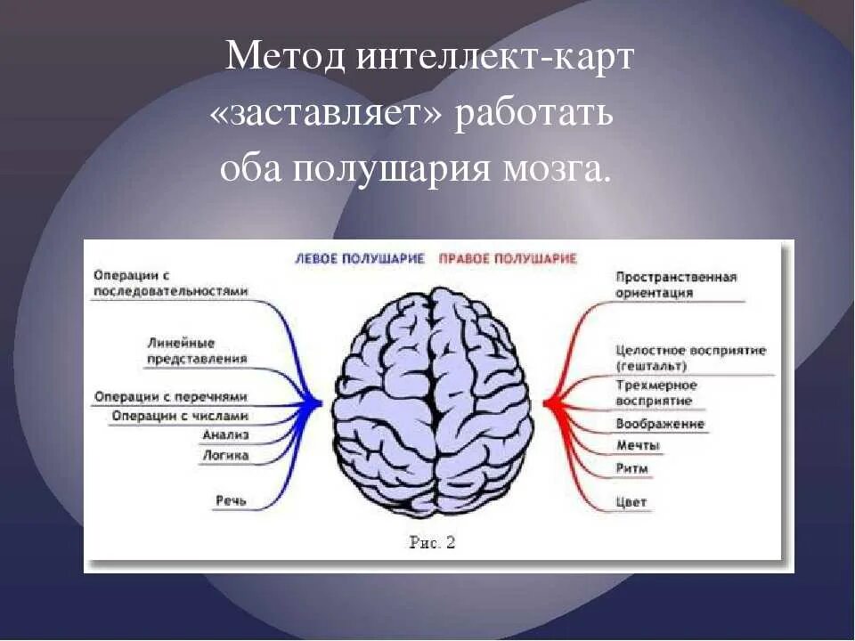 Сила сжимающая полушария. Полушария мозга. Два полушария мозга. Оба полушария мозга. Как задействовать оба полушария мозга.