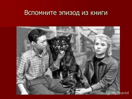 Тест по литературе дикая собака динго