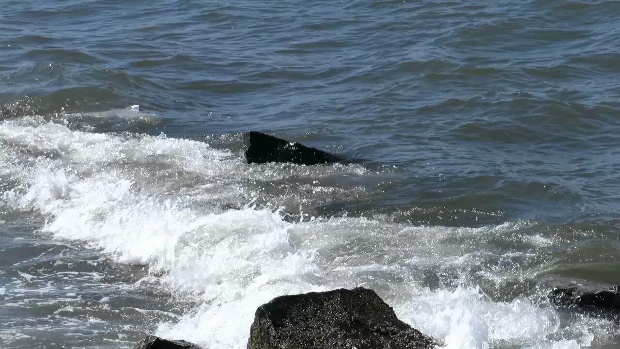 Загрязненные моря приморья. Море бухта патрокл. Вода море владивосток. Владивосток море или океан. Японское море владивосток.