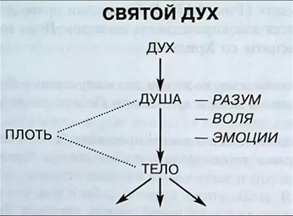 Дух и совесть. Дух, душа и тело. Плоды духа Святого. Дух душа и тело схема. Триединое дух, душа,тело.