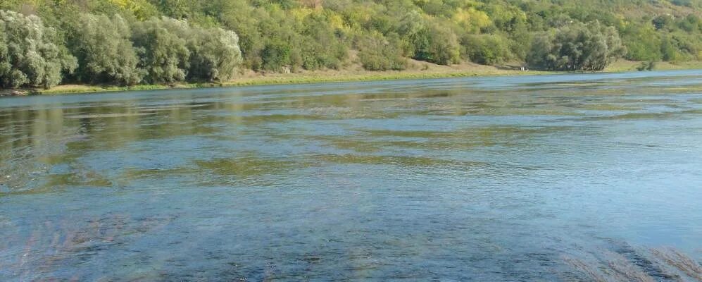 Село иванков. Село иванков житомирская область. Цекиновка винницкая область. Андрушевка житомирская область. Село иванков.