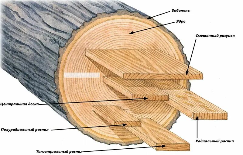 Дерево используют для изготовления. Тангентальный срез древесины. Радиальный и тангенциальный распил. Радиальный и тангенциальный распил древесины. Радиальный и тангенциальный распил дуба.