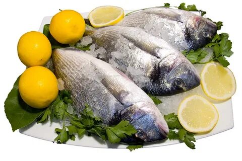 Dorado