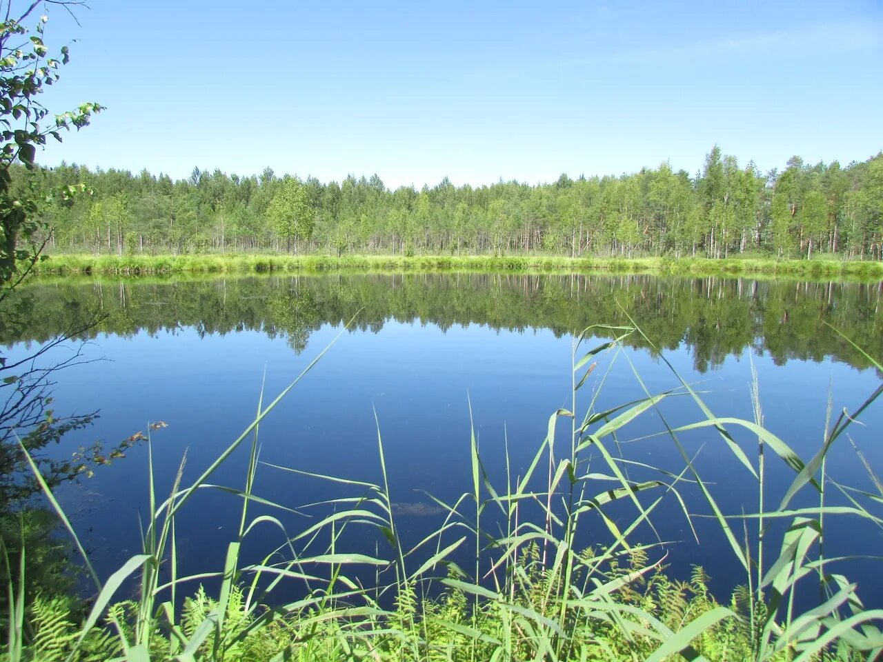 Каннельярви чертово озеро. В озерах и в малых. Маленькое озеро фото. В озерах и в малых. В озерах и в малых.