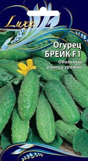 Огурец сорта брейк. Гавриш огурец брейк f1. брейк семена огурцов. сорт огурцов брейк. огурцы брейк описание сорта.