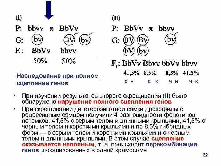 Дигетерозиготная по генам дальтонизма и гемофилии