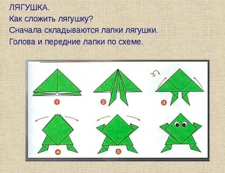 Оригами лягушка из бумаги 2 класс математика. Оригами голова лягушки. Лягушка из бумаги схема. Как сложить лягушку оригами. Оригами лягушка схема.