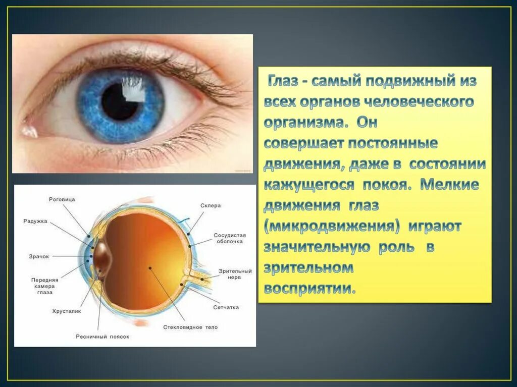 Поражение органов зрения. Нарушение органов зрения. Строение глаза и болезни глаз. Презентация заболевания глаз. Нарушение глаза