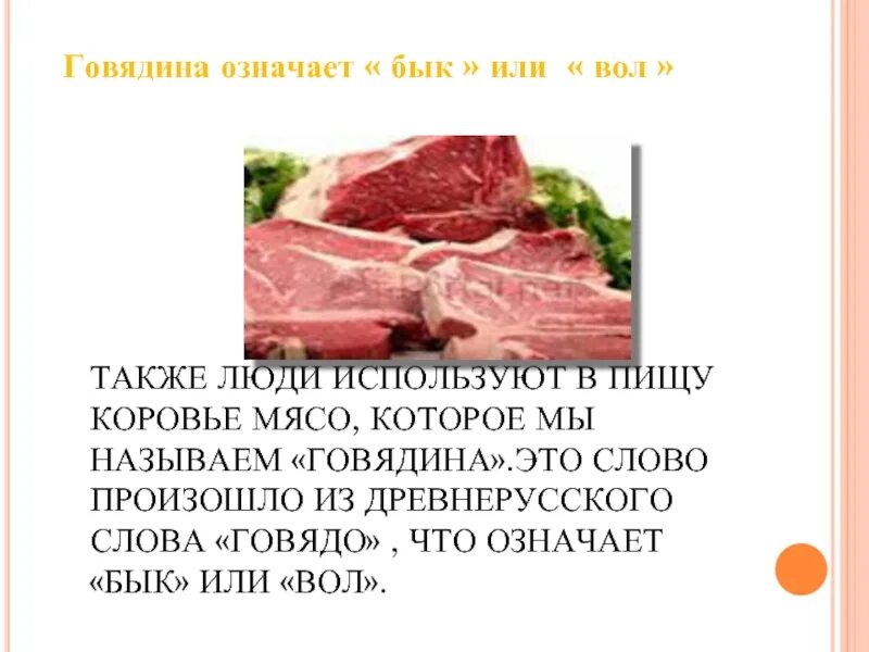 Почему коровье мясо. Мясо слово. Слово говядина. Происхождение слова говядина. Вопрос к слову мясо.