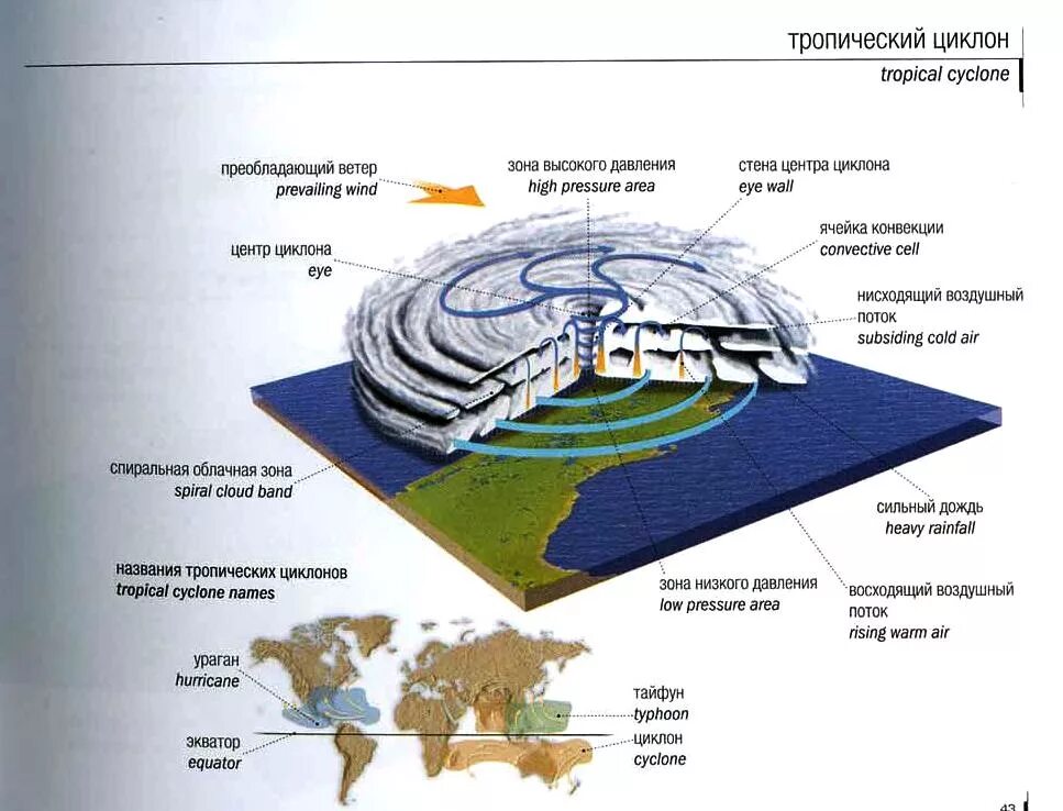 Схема тайфуна. Тропический циклон схема. Строение тропического циклона. Структура циклона. Ураган схема.