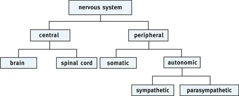 Major system