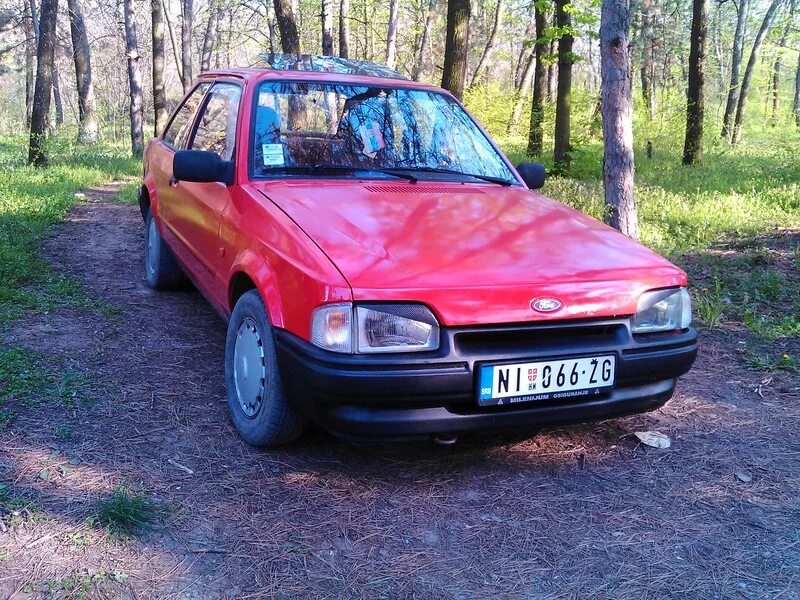 история создания красной книги кратко. первый на красном. комедиальная храмина петра 1. спасибо фанату спартака. первый на красном.