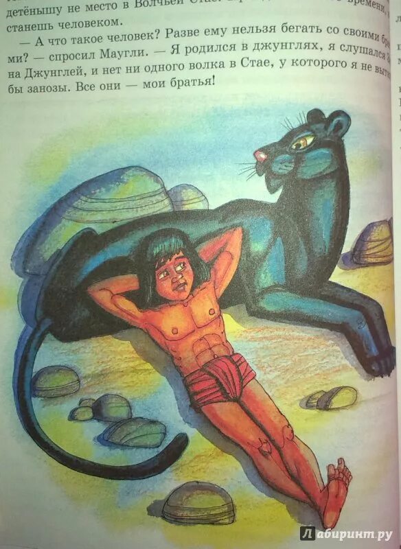 Иллюстрация к сказке братья Маугли. Киплинг Маугли иллюстрации. Рисунок к сказке Маугли. Маугли иллюстрации из книги.