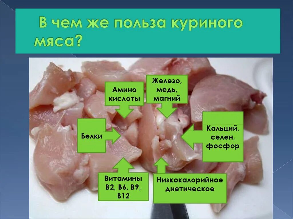 Полезное мясо кур. Польза курятины. Чем полезна курица. Полезные свойства куриного мяса. Чем полезна курица для организма.