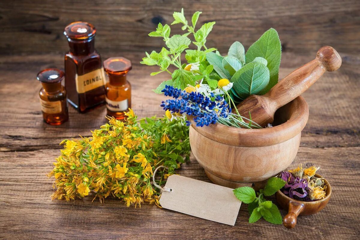 Народное лечение маслами. Лекарственные травы. Лекарственные растения. Целебные растения. Целебные травы.