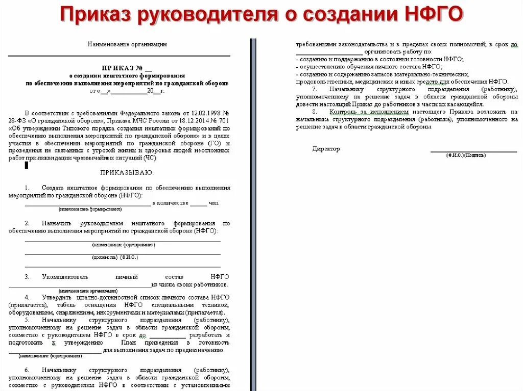 Приказ о создании нештатных формирований го. Приказ о создании НФГО. Приказ о создании го в организации. Распоряжение о создании по. Приказы го в школе