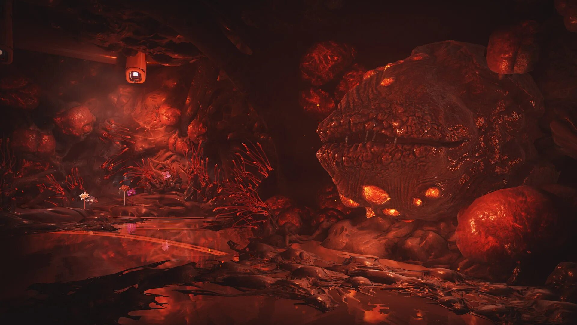 Варфрейм зараженные локации. Заражение варфрейм. Гельминт цветы warframe. Гельминтов инфестоид. Заражение варфрейм.