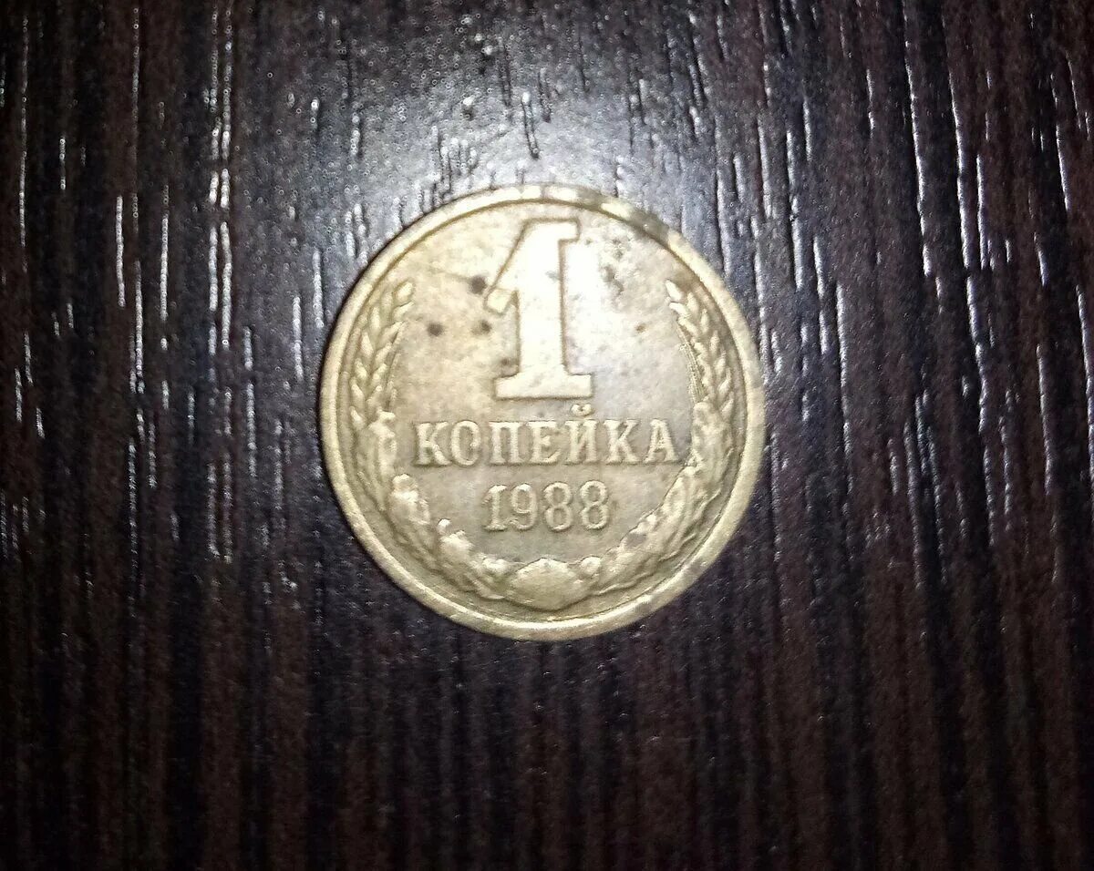 Монета 1 копейка 1988 года. 1 Копейка 192415 копеек 1988. 1 Копейка на столе. Советские копейки.