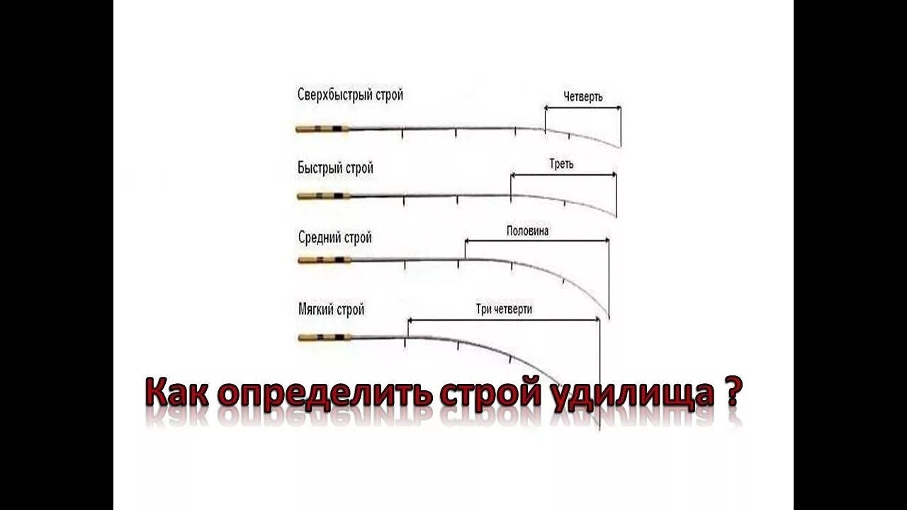 Строй fast. Средний Строй фидерного удилища. Строй Медиум у спиннинга. Обозначение строя на спиннинге. Средне быстрый Строй фидера.