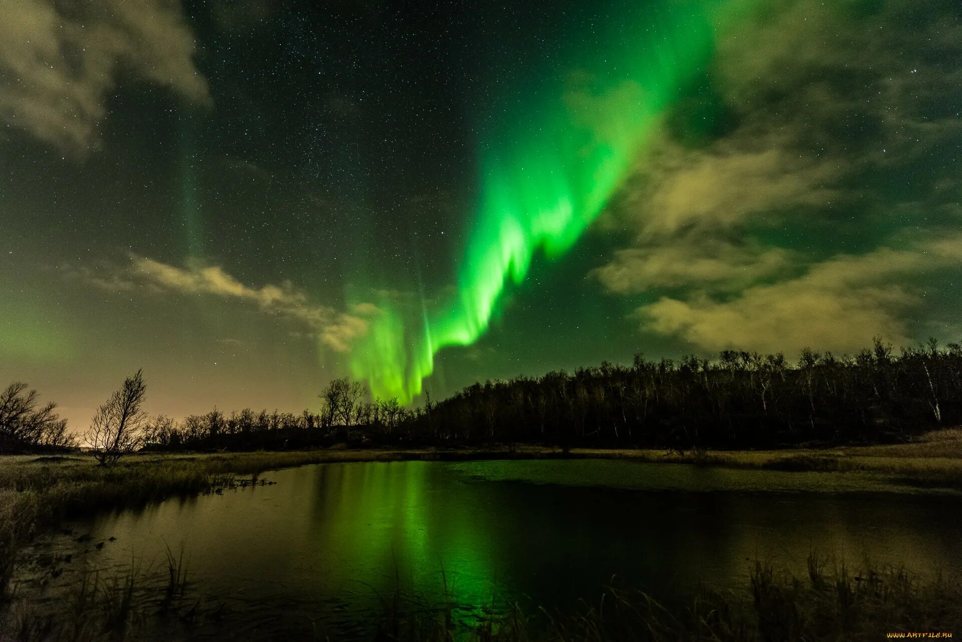 Тингвеллир северное сияние. Северное сияние архангельск 2023. Северное сияние или сполохи. Сполохи северного сияния. Сполохи северного сияния.
