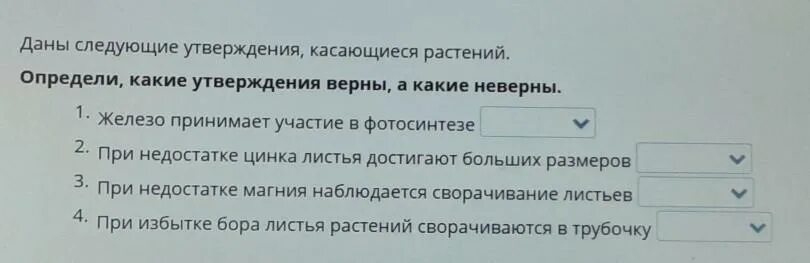 Какие утверждения верны ядром войска. Определи какие утверждение верные. Какие утверждения неверны. Определи какие из утверждений верные. Какие из следующих утверждений верны а какие неправильные.