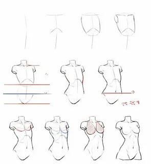 Drawing tutorials - Female torso/breast