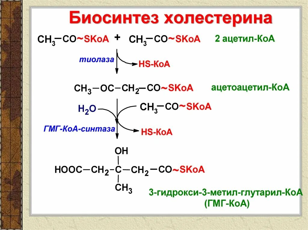 Ферменты холестерина. Синтез холестерина схема. Биосинтез холестерина из ацетил КОА. Схема реакций синтеза холестерола. Синтез холестерола из ацетил КОА.