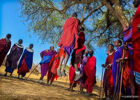 Килиманджаро Танзания Занзибар.