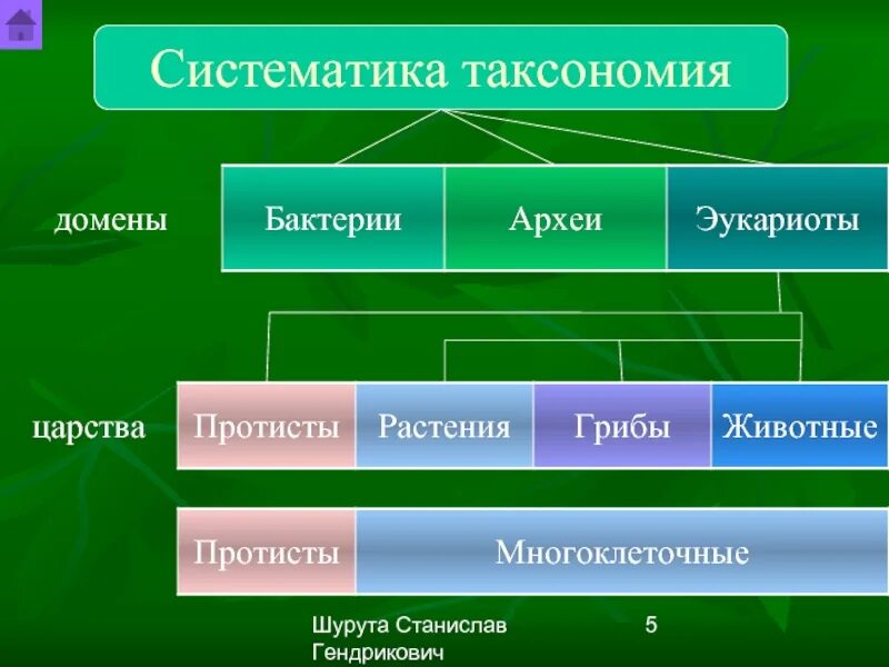 Домен не существует. Домен (биология). Домен систематика. Домены биология классификация. Домен царство.