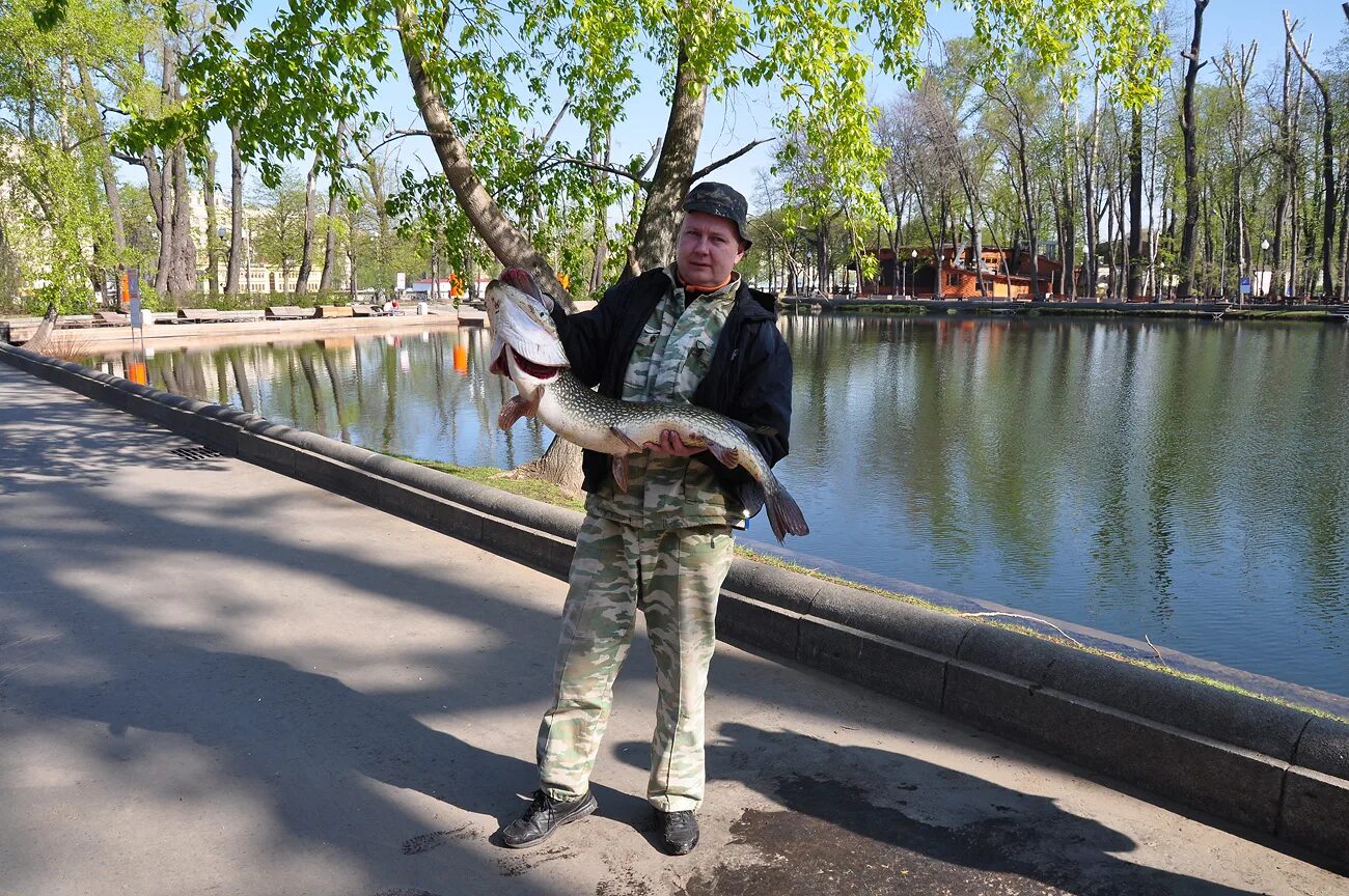 Какая рыба в москве реке