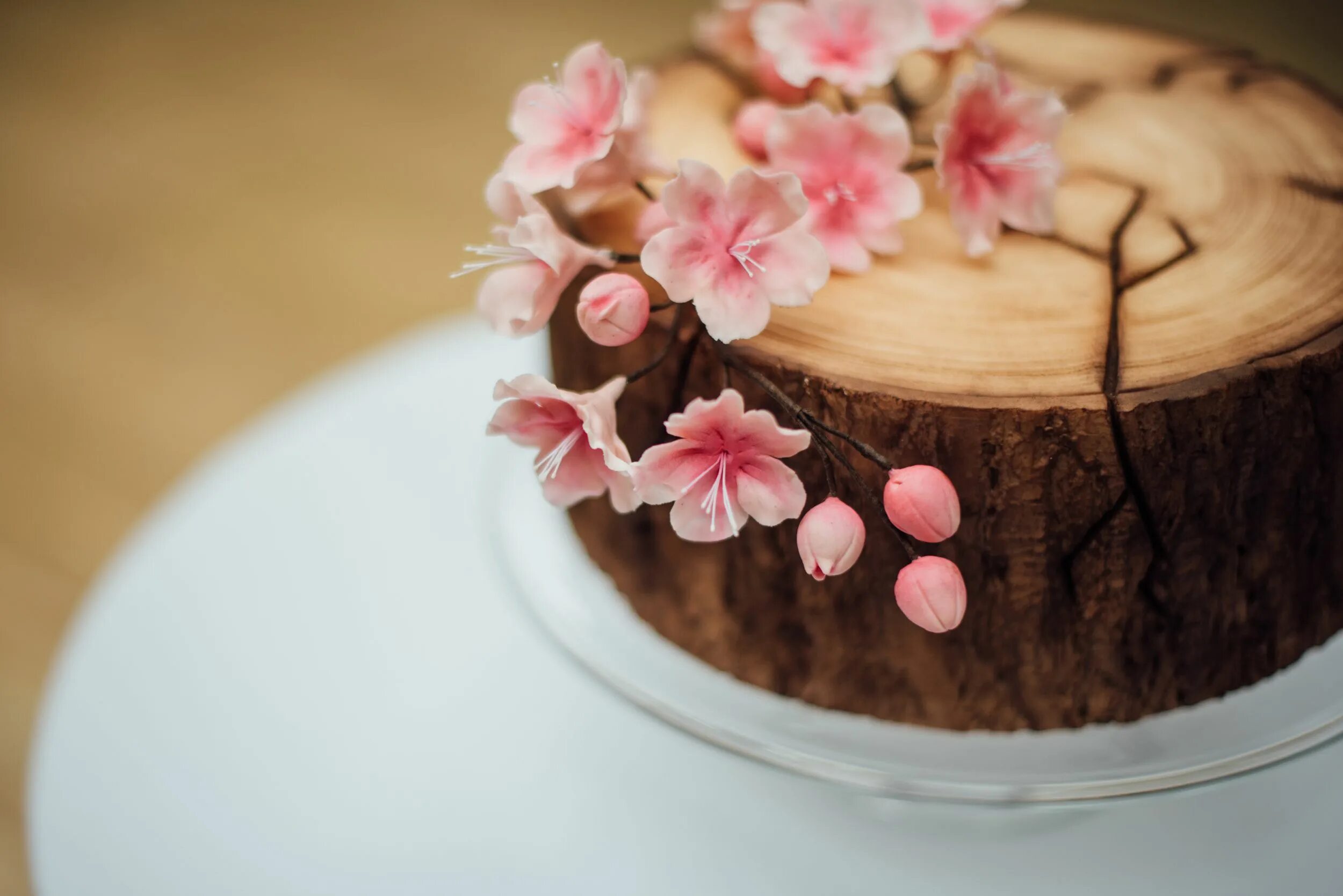 Торт цветок Сакуры. Торт украшенный сакурой. Торт с деревом Сакуры.