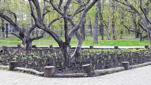 Тушино парк культуры