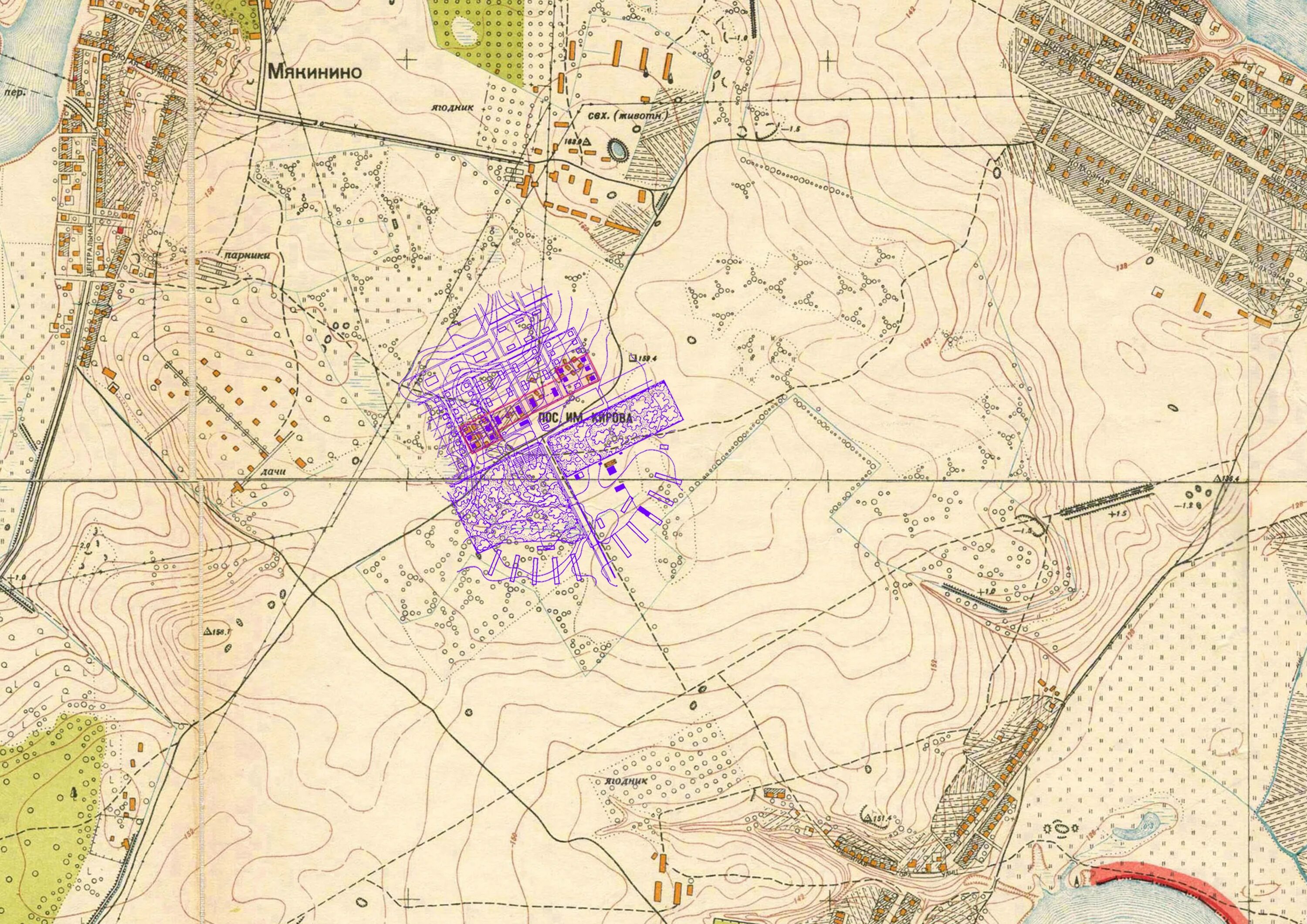 Золотой ключ карта совкомбанка. Карта советник. Мак колода советник. Pathfinder kingmaker советники. Метафорические карты советник.