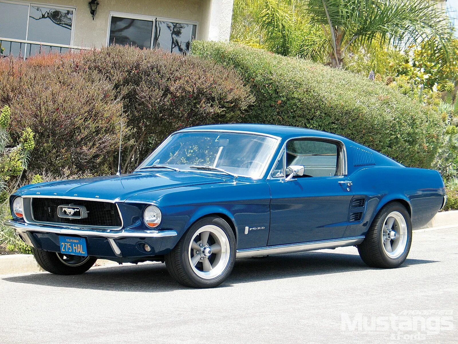 Форд mustang 67. Форд мустанг фастбэк 1967 шелби. Ford mustang 67 года. Форд мустанг фастбэк 1967 шелби. Ford mustang 67 fastback.