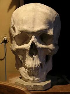 Ринхокинетизм черепа