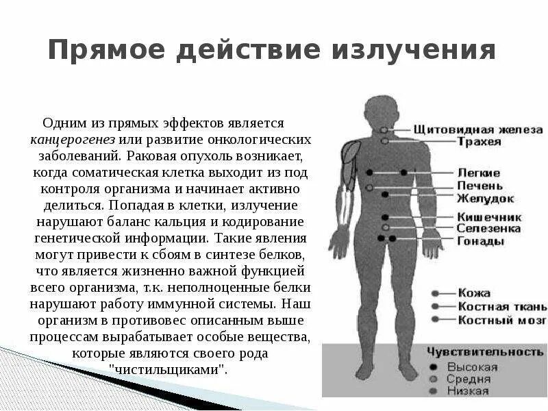 Воздействие радиации на организм человека. Последствия воздействия радиации на организм человека. Влияние ионизирующего излучения на организм человека. Ионизирующие воздействия радиации