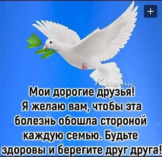 Дорогие друзья и близкие