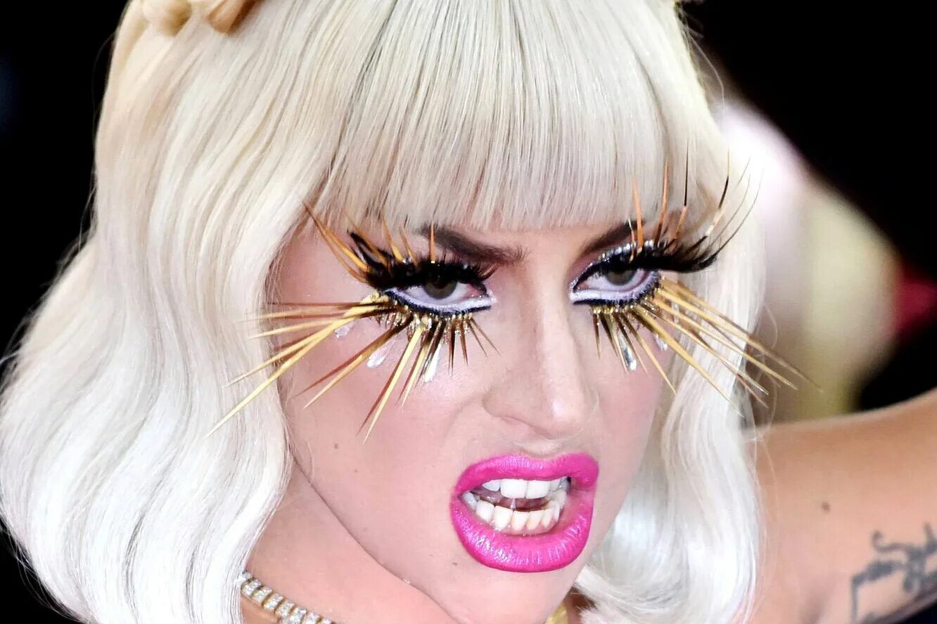 Леди гага псевдоним. Леди гага грудь. леди гага в образе киборга.. lady gaga показ с головами животных.