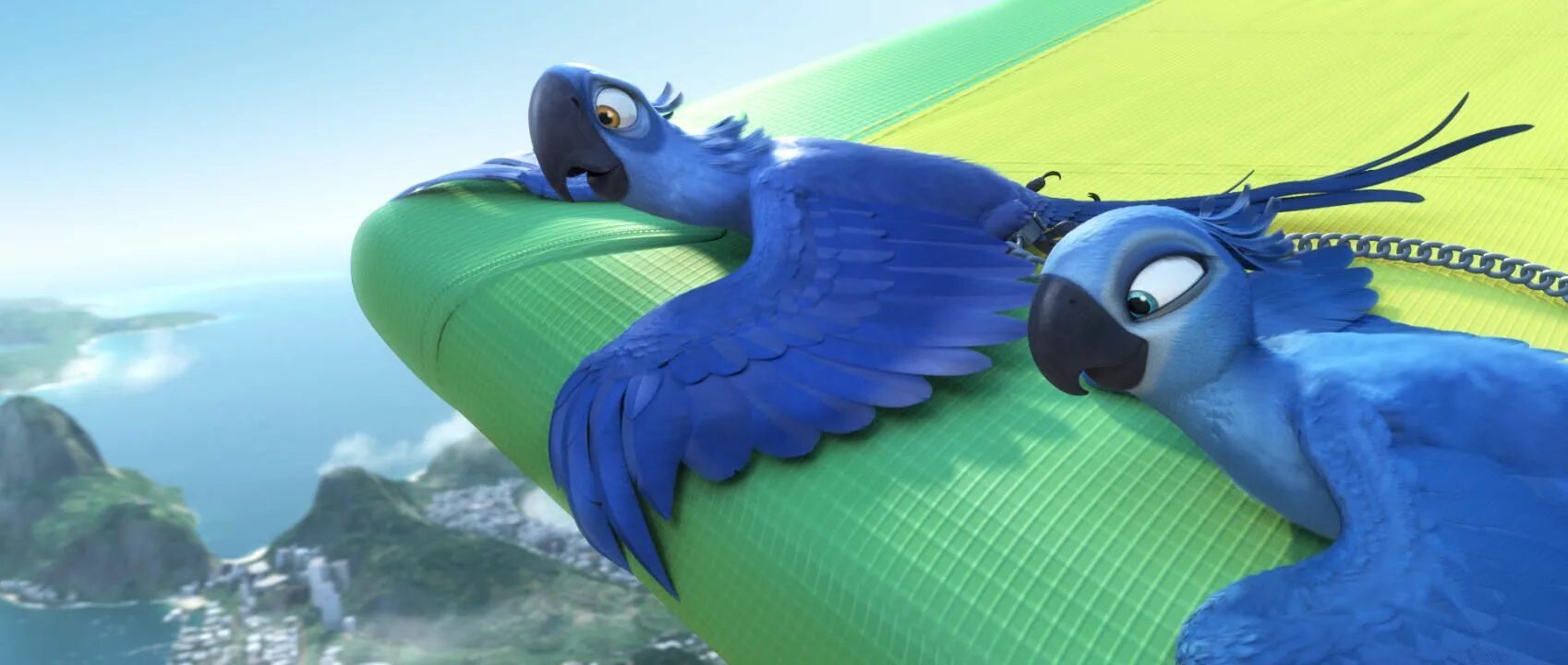 Рио 2011 Голубчик. Рио Голубчик и Жемчужинка. Найра Санчес попугай из Рио. Rio movie