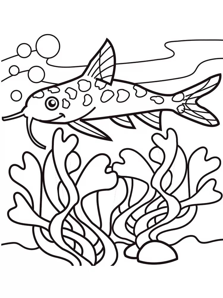Раскраска рыбы для детей 7 лет. Рыбка сомик аквариумный раскраска. Рыба раскраска. Раскраска рыбка. Рыбка раскраска для детей.