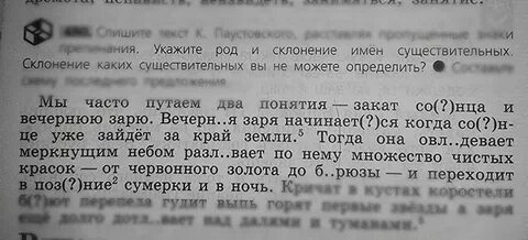 Выпь склонение