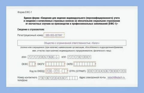 Форма ефс 1 за 4 квартал 2023