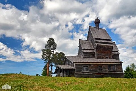 Первые ленинградская область