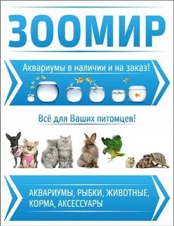 Зоодело волгоград
