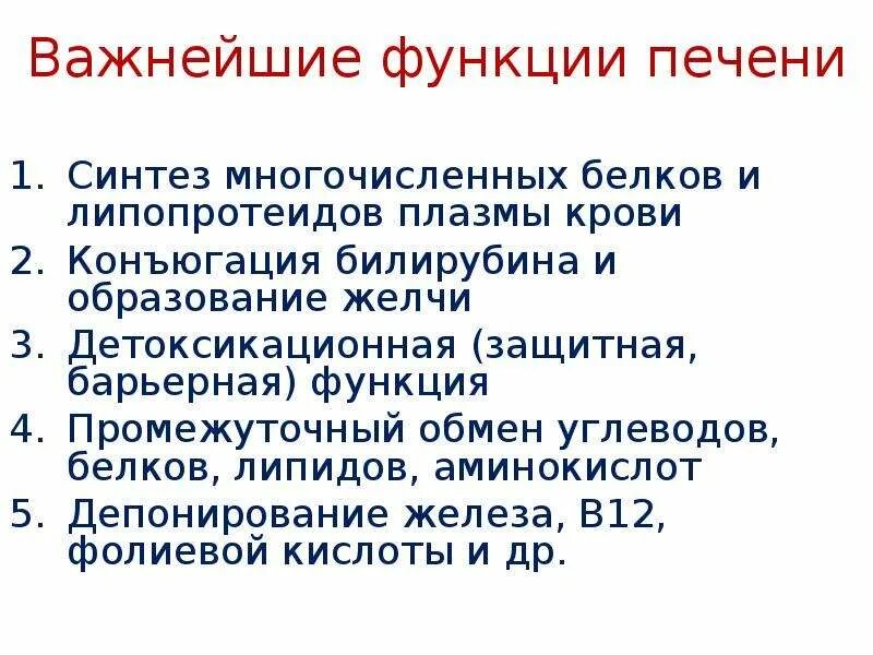 Всасывание роль печени функции. Всасывание роль печени функции