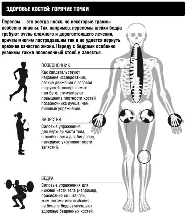 Как укрепить кости. Упражнения для укрепления костей. Упражнения для укрепления костно мышечной системы. Упражнения для скелета и мышц.