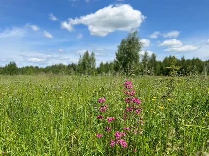 Питомник растений рязанская область