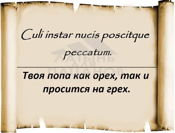 Бежевый мем. Бурундук с большими глазами. Кошки в упряжке. Душа просится наружу. Мес далье бога нет.
